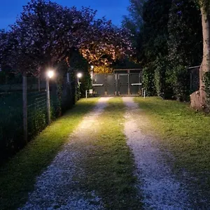 La Casina Appartamento